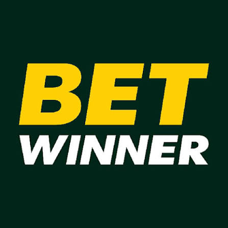Discover BetWinner Your Premier Online Gambling Platform