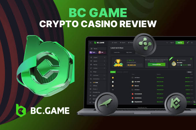 BC.Game Casino Your Gateway to Crypto Gaming