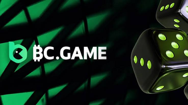 Understanding the BC.Game Login Process A Comprehensive Guide -421945776 Understanding the BC.Game Login Process A Comprehensive Guide -421945776